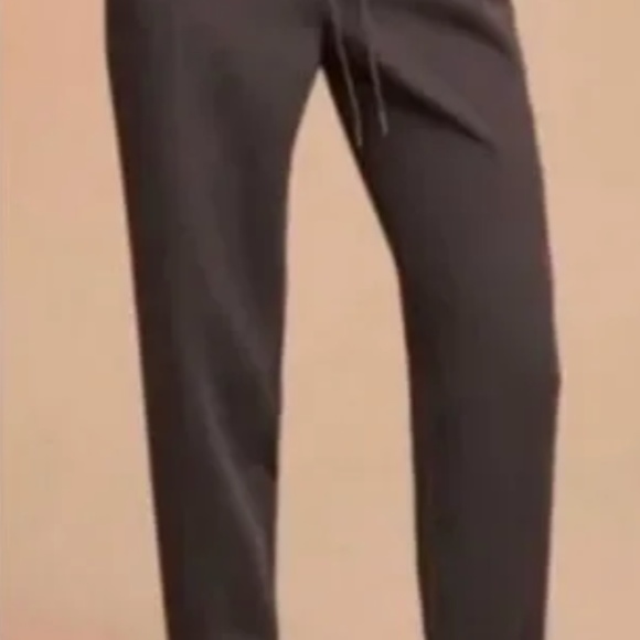 Wilfred Aritzia Buffon Jogger Pants Size Medium - Picture 3 of 4